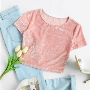 💗Slim Fit Crop Crushed Velvet Tee💗
